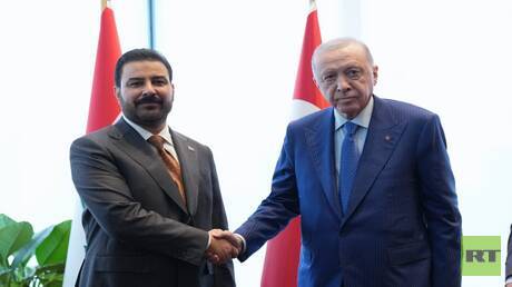 قاعدة بعشيقة.. 