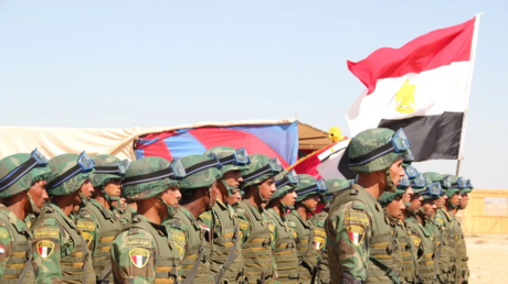 وزير الخارجية المصري: قدمنا دعما عسكريا لدول خليجية لصد 