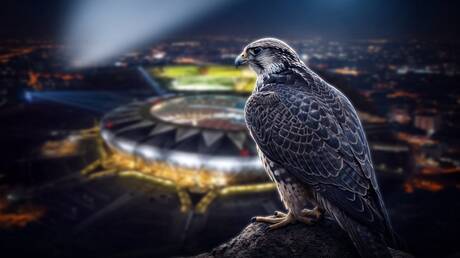 المنتخب السعودي بطلا لـ