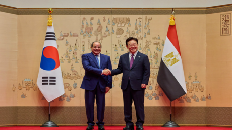 سيئول.. السيسي يؤكد قضية وجودية لمصر ويعلن عن شراكة استراتيجية مع كوريا