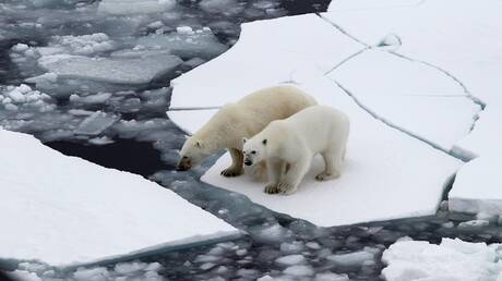 المفوضية الأوروبية تقدم لأول مرة استراتيجية الاتحاد الأوروبي العسكرية حول القطب الشمالي
